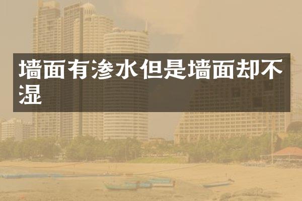 墙面有渗水但是墙面却不湿
