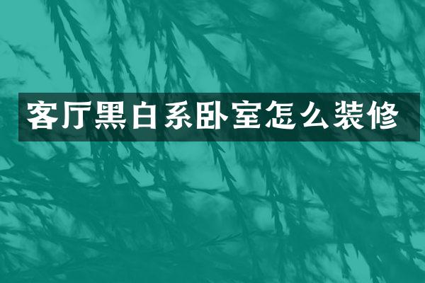 客厅黑白系卧室怎么装修