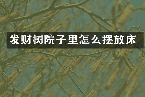 发财树院子里怎么摆放床