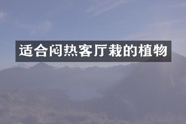 适合闷热客厅栽的植物