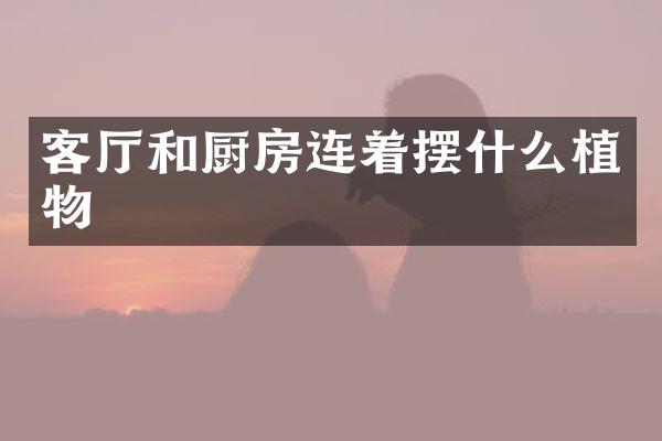 客厅和厨房连着摆什么植物