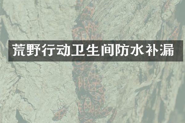 荒野行动卫生间防水补漏