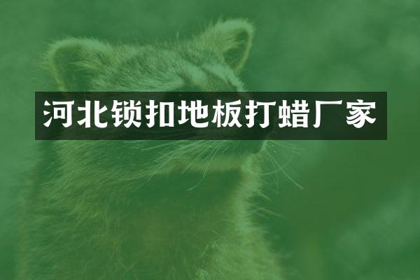 河北锁扣地板打蜡厂家