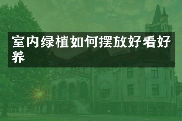 室内绿植如何摆放好看好养