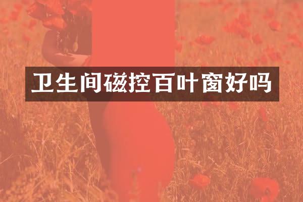 卫生间磁控百叶窗好吗