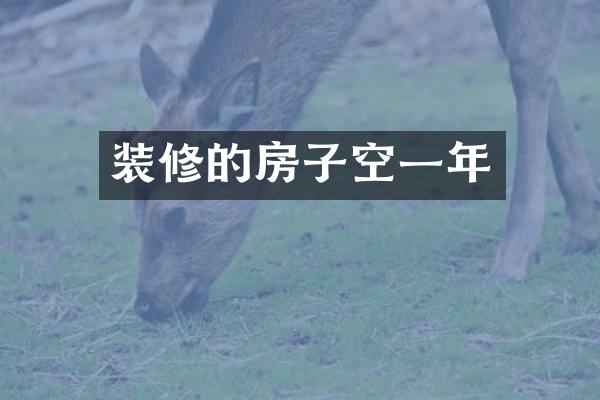 装修的房子空一年