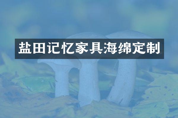 盐田记忆家具海绵定制