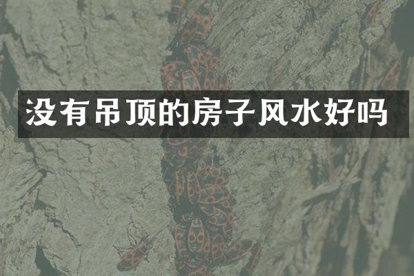 没有吊顶的房子风水好吗