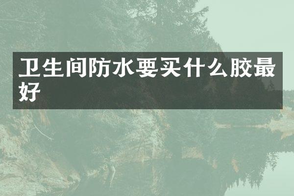 卫生间防水要买什么胶最好
