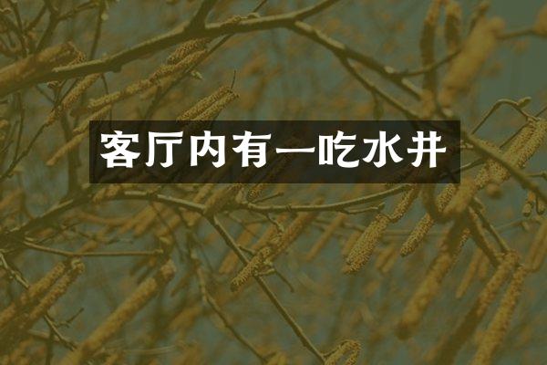 客厅内有一吃水井
