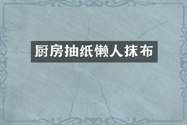 厨房抽纸懒人抹布