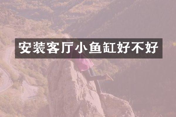 安装客厅小鱼缸好不好