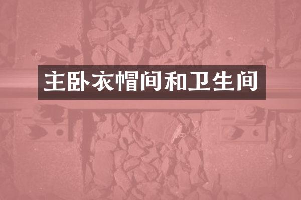 主卧衣帽间和卫生间