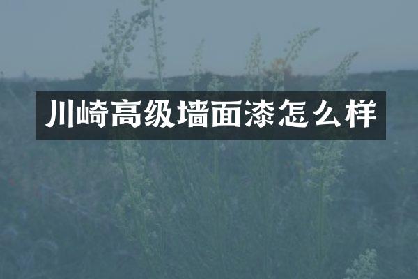川崎高级墙面漆怎么样