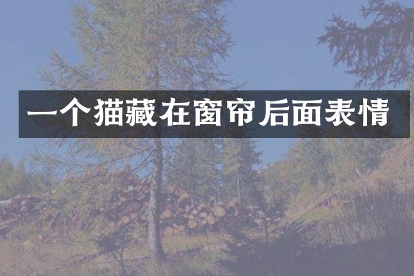 一个猫藏在窗帘后面表情