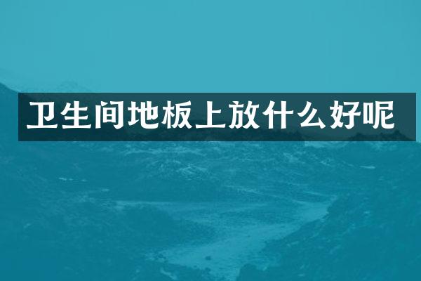 卫生间地板上放什么好呢