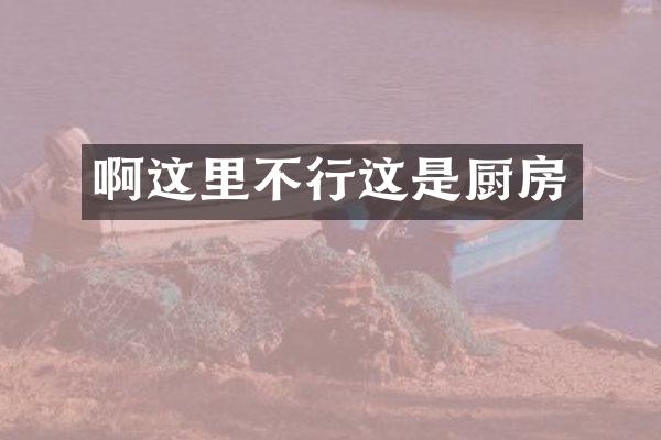 啊这里不行这是厨房
