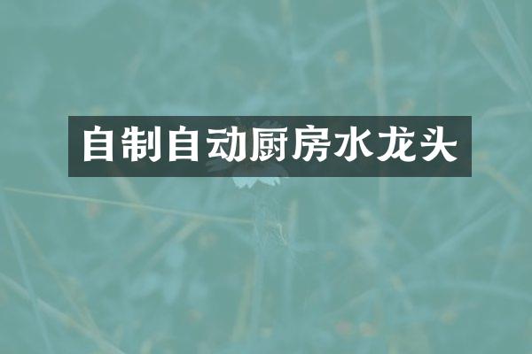 自制自动厨房水龙头