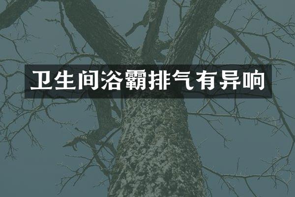 卫生间浴霸排气有异响