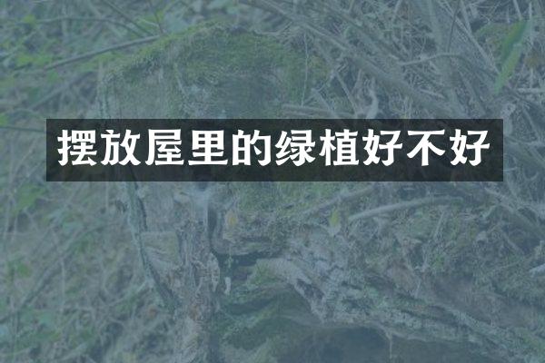 摆放屋里的绿植好不好
