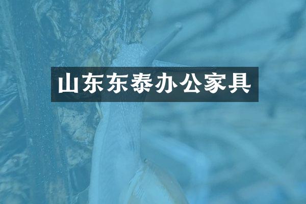 山东东泰办公家具
