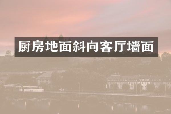 厨房地面斜向客厅墙面