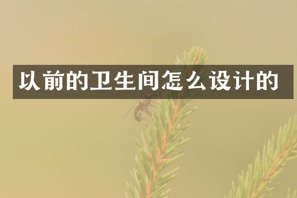 以前的卫生间怎么设计的