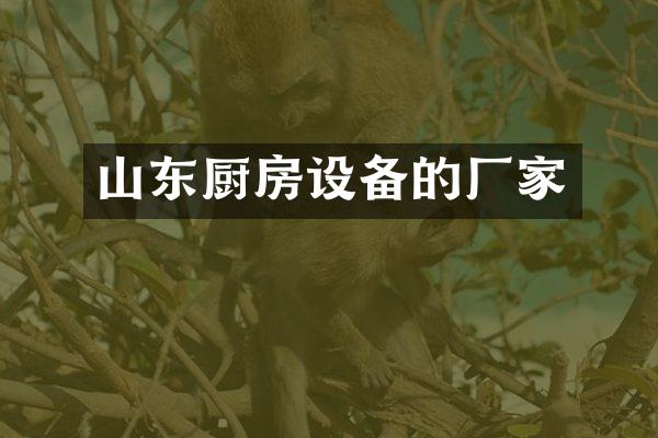 山东厨房设备的厂家