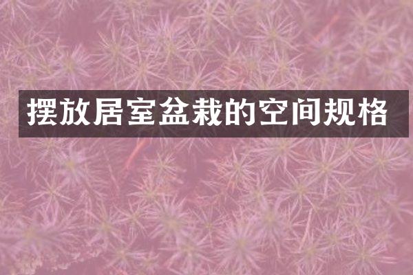 摆放居室盆栽的空间规格