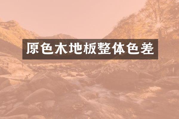 原色木地板整体色差