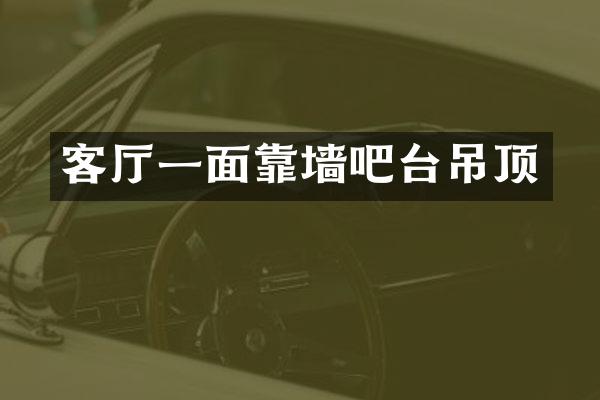 客厅一面靠墙吧台吊顶