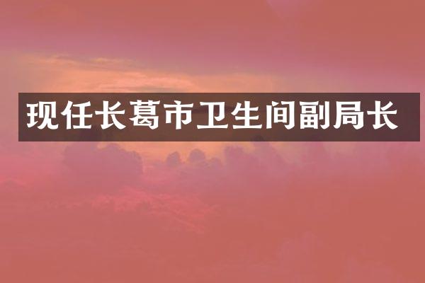 现任长葛市卫生间副局长