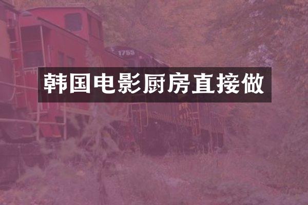 韩国电影厨房直接做