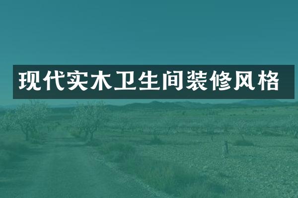 现代实木卫生间装修风格