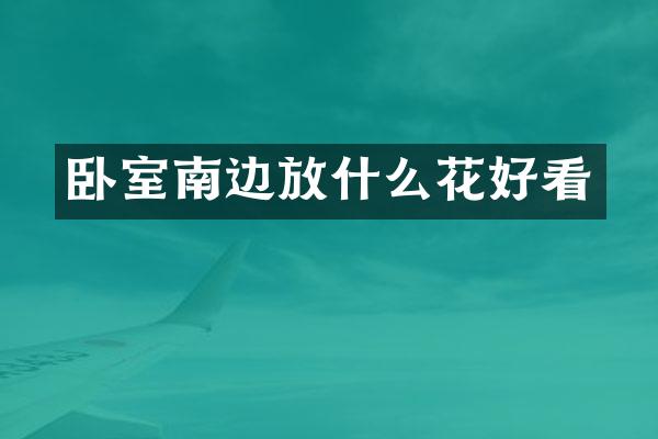 卧室南边放什么花好看