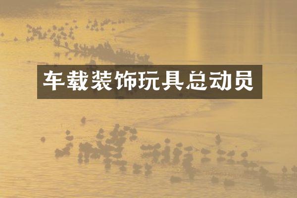 车载装饰玩具总动员