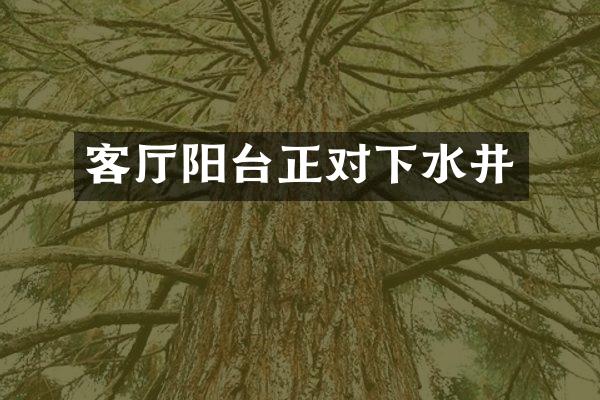 客厅阳台正对下水井