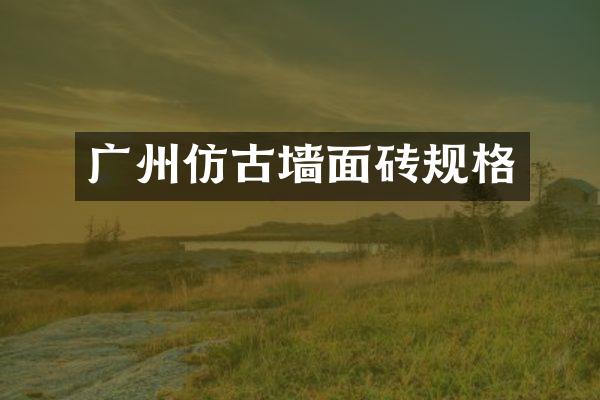 广州仿古墙面砖规格