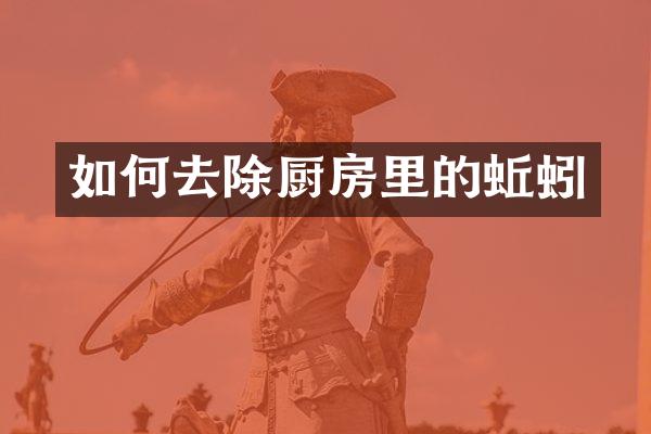 如何去除厨房里的蚯蚓