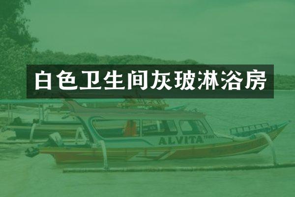 白色卫生间灰玻淋浴房