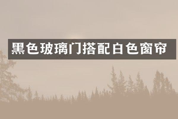黑色玻璃门搭配白色窗帘