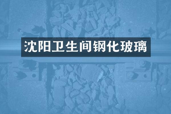 沈阳卫生间钢化玻璃