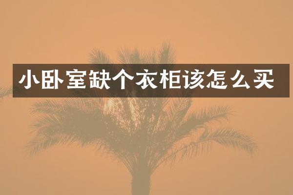 小卧室缺个衣柜该怎么买