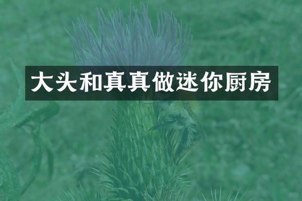 大头和真真做迷你厨房