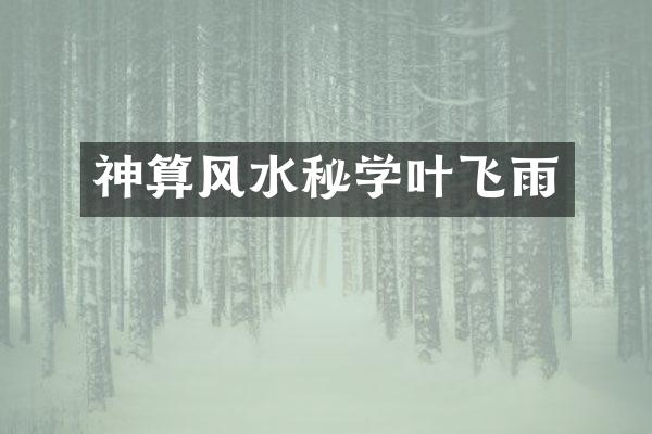 神算风水秘学叶飞雨