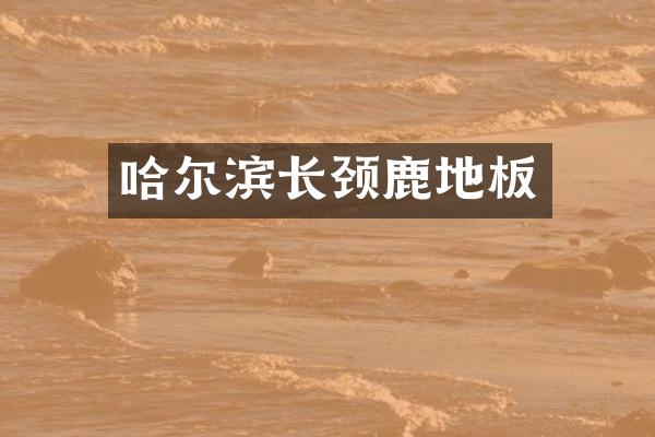 哈尔滨长颈鹿地板