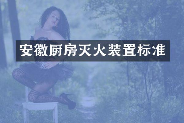 安徽厨房灭火装置标准