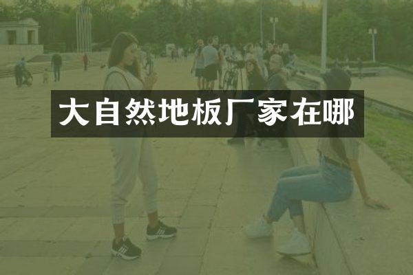 大自然地板厂家在哪