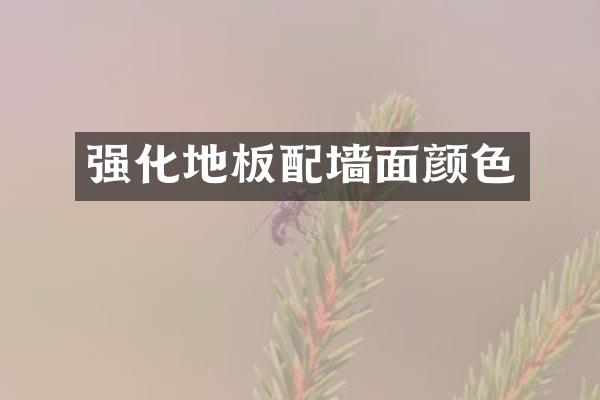 强化地板配墙面颜色