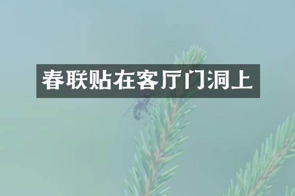 春联贴在客厅门洞上